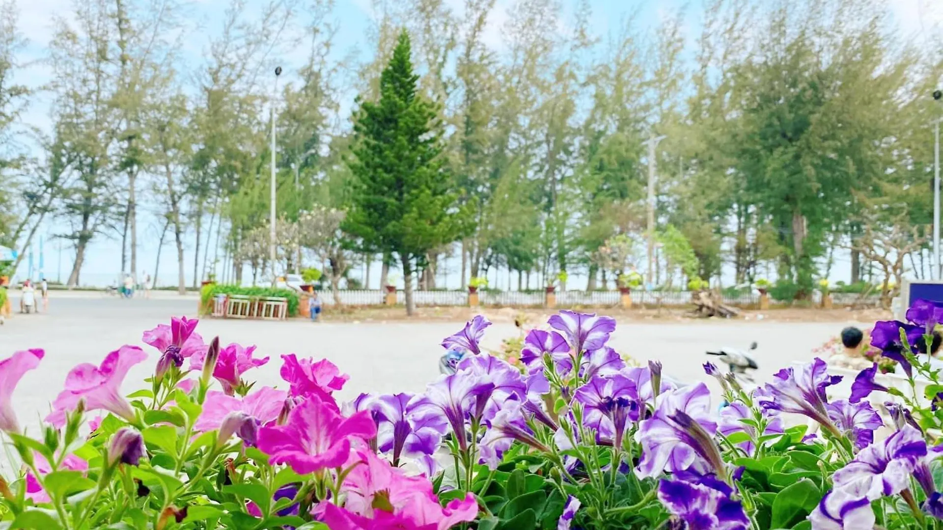 **  Hotel Khach San Binh Minh Phan Thiết Wietnam